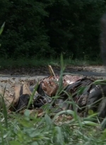 thewalkingdead0405-0030.jpg