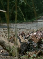 thewalkingdead0405-0032.jpg