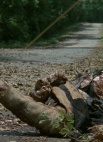 thewalkingdead0405-0033.jpg