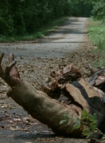 thewalkingdead0405-0034.jpg