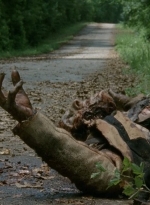 thewalkingdead0405-0035.jpg