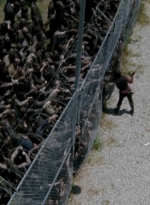 thewalkingdead0405-0456.jpg