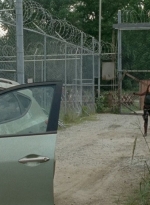 thewalkingdead0405-0551.jpg