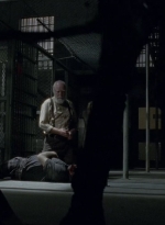 thewalkingdead0405-0818.jpg