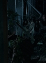 thewalkingdead0405-1457.jpg