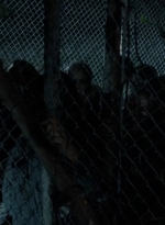 thewalkingdead0405-1502.jpg