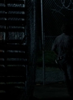 thewalkingdead0405-1842.jpg