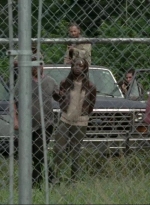 thewalkingdead0408-0850.jpg