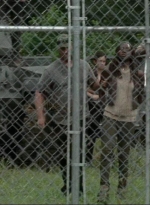 thewalkingdead0408-0852.jpg