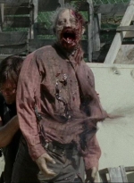 thewalkingdead0408-1825.jpg