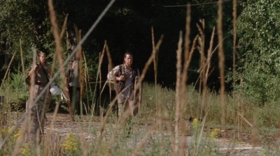 twd0411-2016.jpg