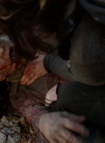 twd0413-1096.jpg
