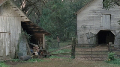 twd0414-1021.jpg