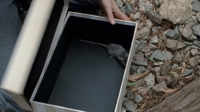 twd0414-1024.jpg