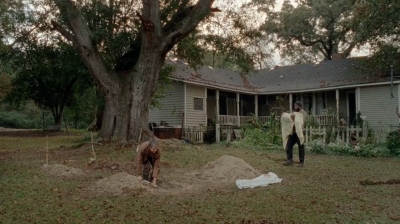 twd0414-1978.jpg