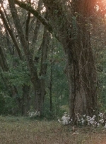 twd0414-0889.jpg