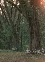 twd0414-0890.jpg