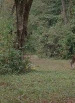 twd0414-0919.jpg