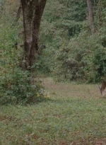twd0414-0920.jpg