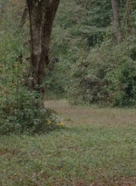 twd0414-0949.jpg