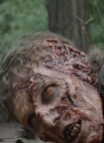 twd0414-1061.jpg