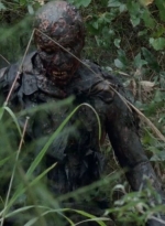 twd0414-1079.jpg