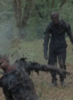 twd0414-1131.jpg