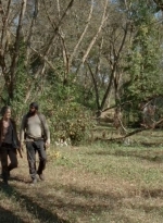 twd0414-1240.jpg