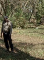 twd0414-1260.jpg