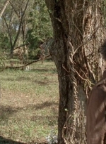 twd0414-1268.jpg
