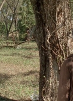 twd0414-1269.jpg