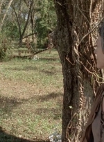 twd0414-1275.jpg