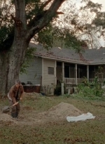 twd0414-1975.jpg