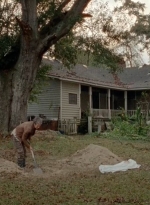 twd0414-1976.jpg