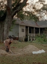 twd0414-1977.jpg