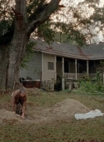 twd0414-1978.jpg