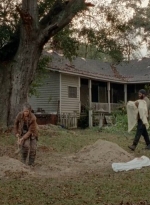 twd0414-1979.jpg