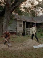 twd0414-1980.jpg