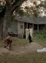 twd0414-1981.jpg