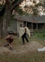 twd0414-1982.jpg