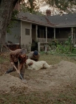 twd0414-1988.jpg