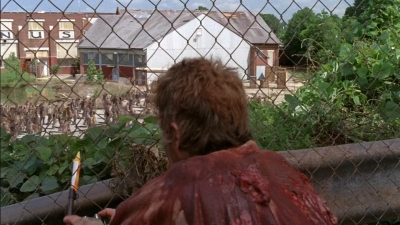 twd0501-1413.jpg