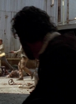 twd0501-2035.jpg