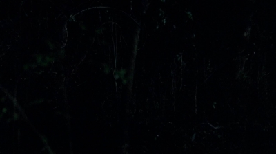twd0502-0514.jpg