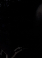 twd0502-0476.jpg
