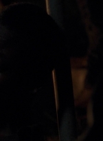 twd0503-0181.jpg