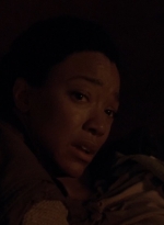 twd0503-0897.jpg