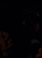 twd0503-1664.jpg
