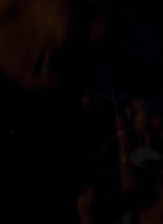 twd0503-1667.jpg