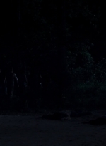 twd0503-1670.jpg